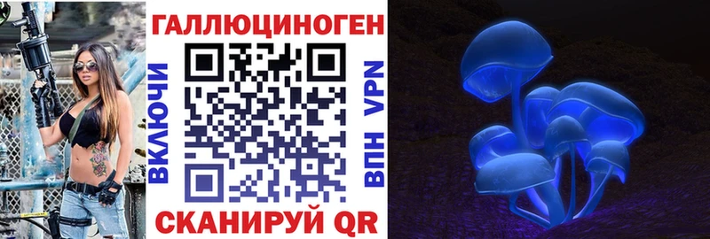 где продают   Ленск  Галлюциногенные грибы Cubensis 